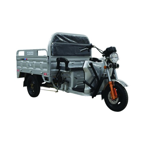 POLO 9000 Kasalı Elektrikli