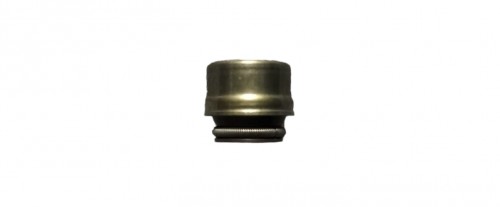 SUBAB KEÇESİ 4V (27HP)