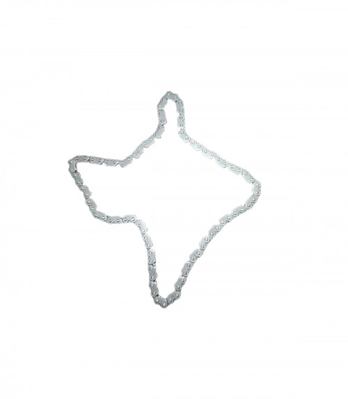 EKSANTRİK ZİNCİRİ ALFA