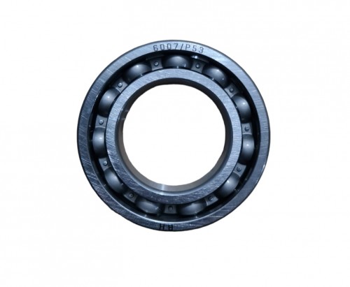 RULMAN 6007 NOVA-125