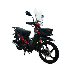 Apachi MYRA 100 cc 2