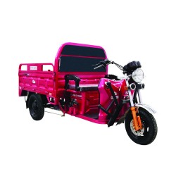 POLO 9000 Kasalı Elektrikli 2