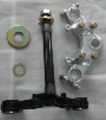 DİREKSİYON MİLİ POLO