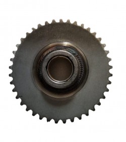 MARŞ DİŞLİSİ MYRA