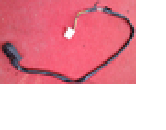 FREN KOLU MÜŞÜRÜ PARS